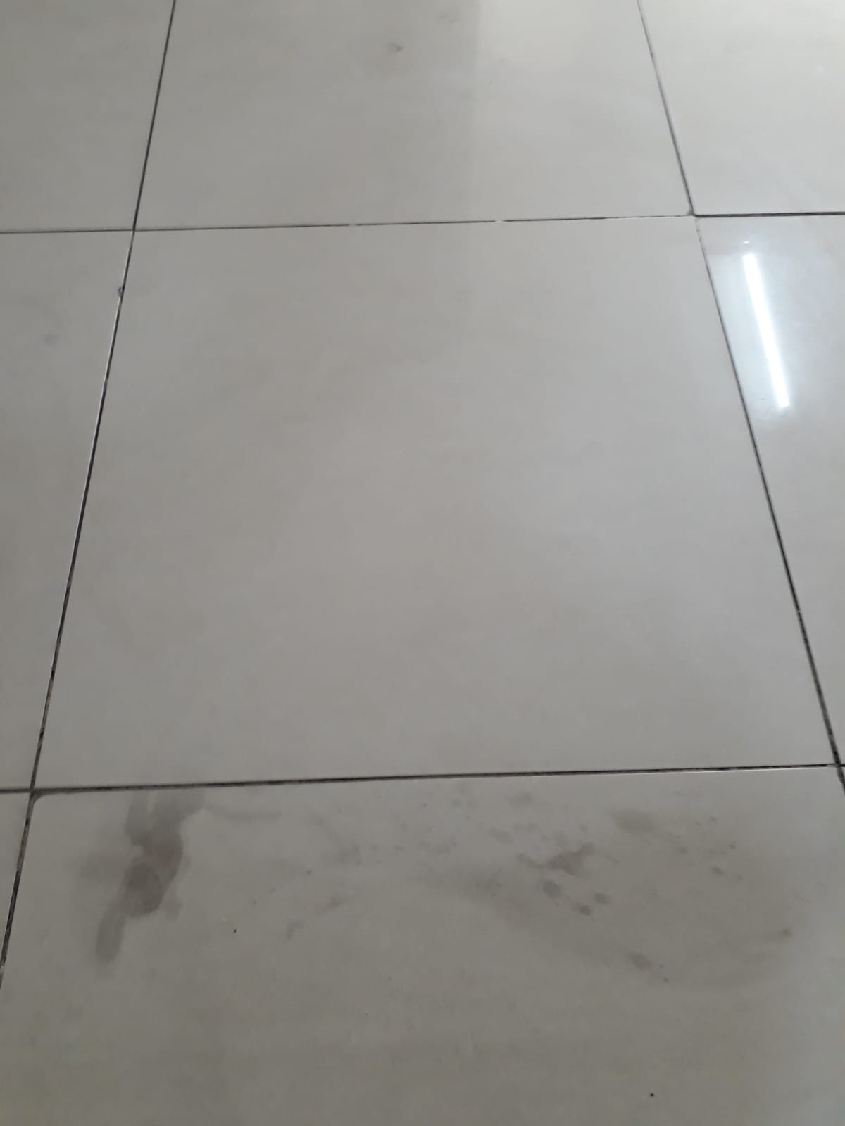 Limpeza e Desincrustação